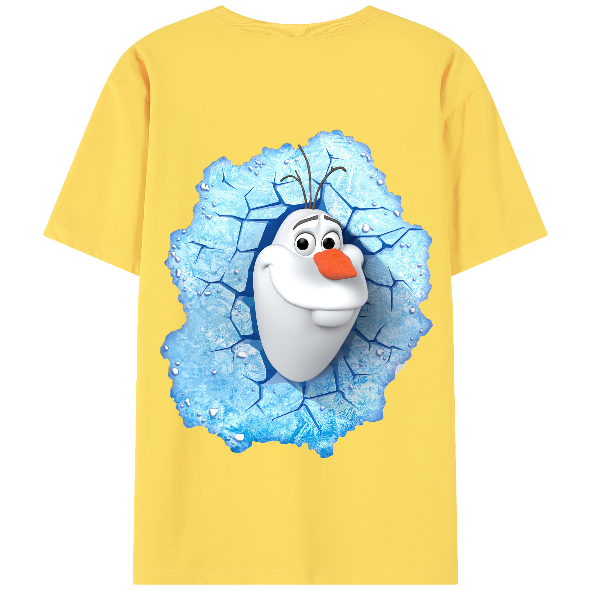 （画像用） アナと雪の女王 アンナ エルサ Frozen Anna Elsa 綿100％半袖Tシャツ（背面プリント）