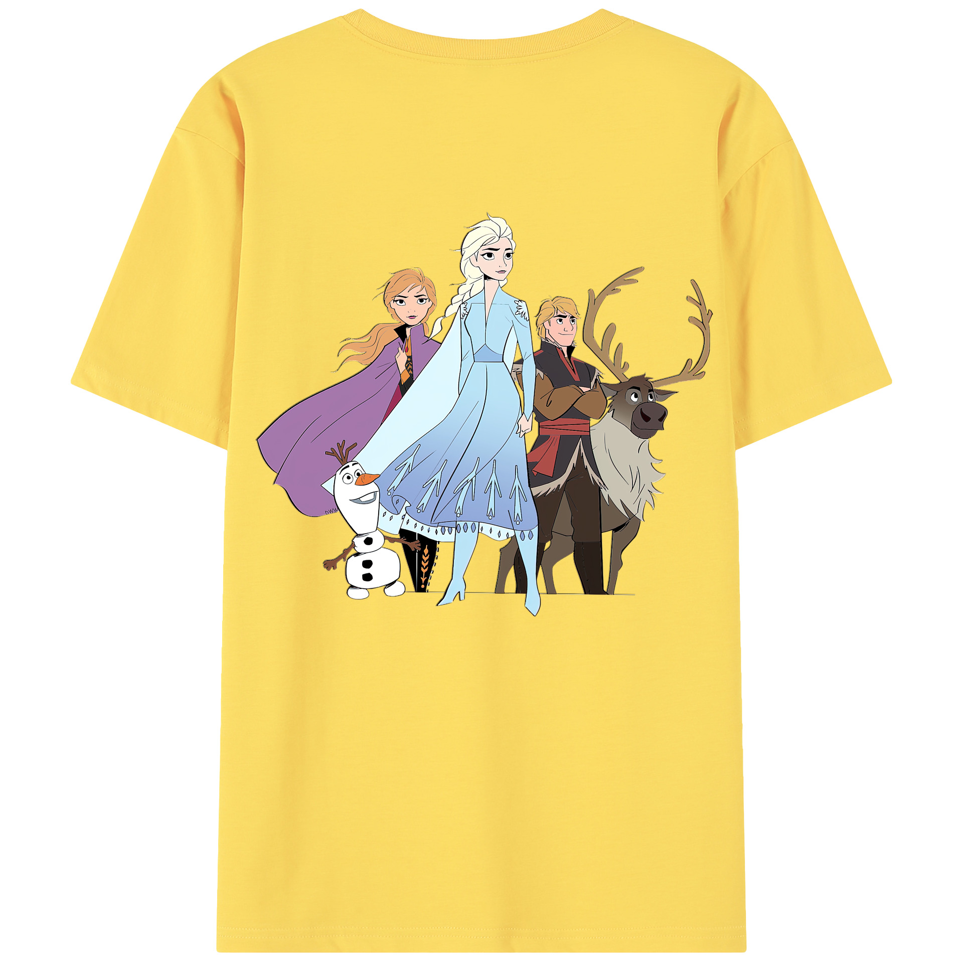 （画像用） アナと雪の女王 アンナ エルサ Frozen Anna Elsa 綿100％半袖Tシャツ（背面プリント）