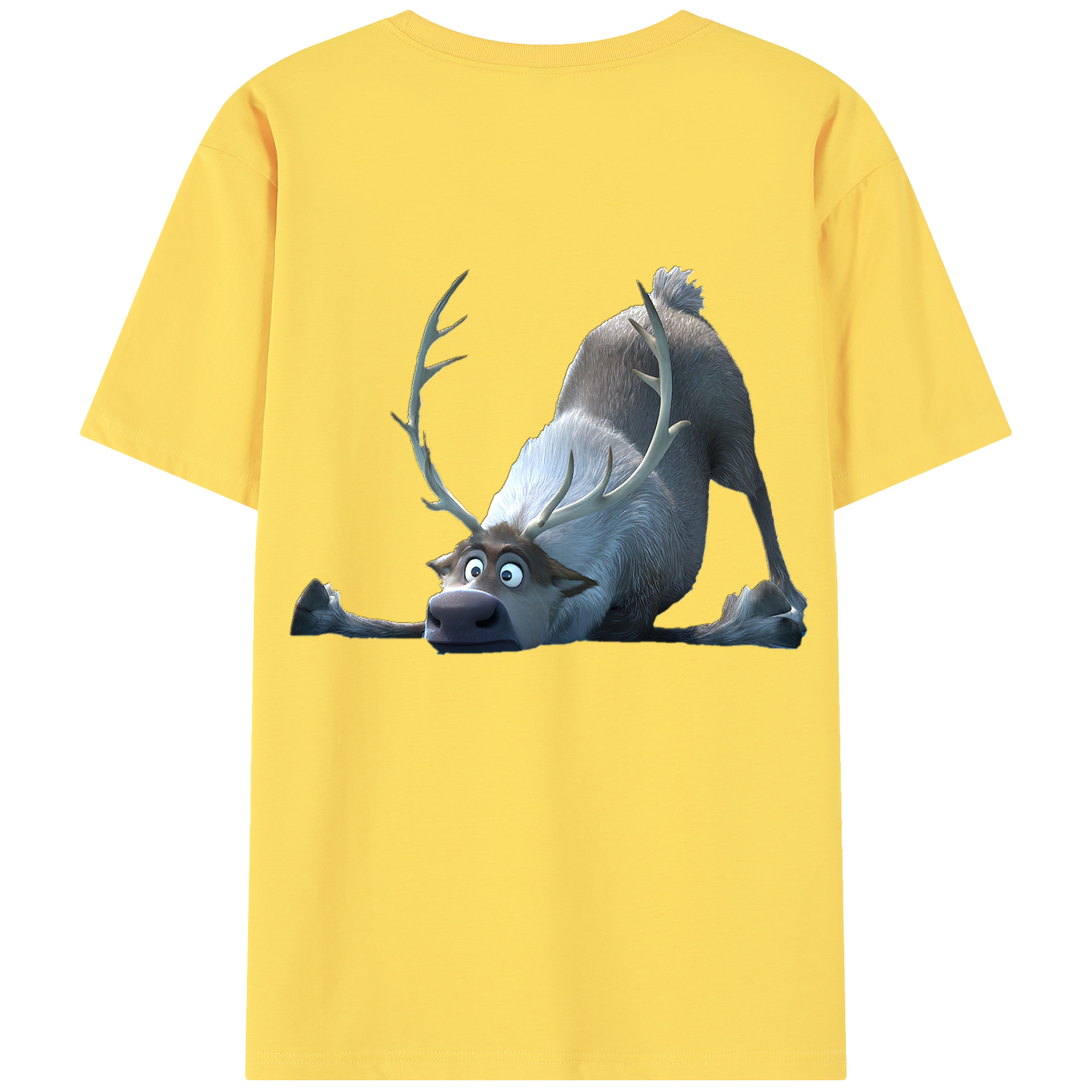 （画像用） アナと雪の女王 アンナ エルサ Frozen Anna Elsa 綿100％半袖Tシャツ（背面プリント）