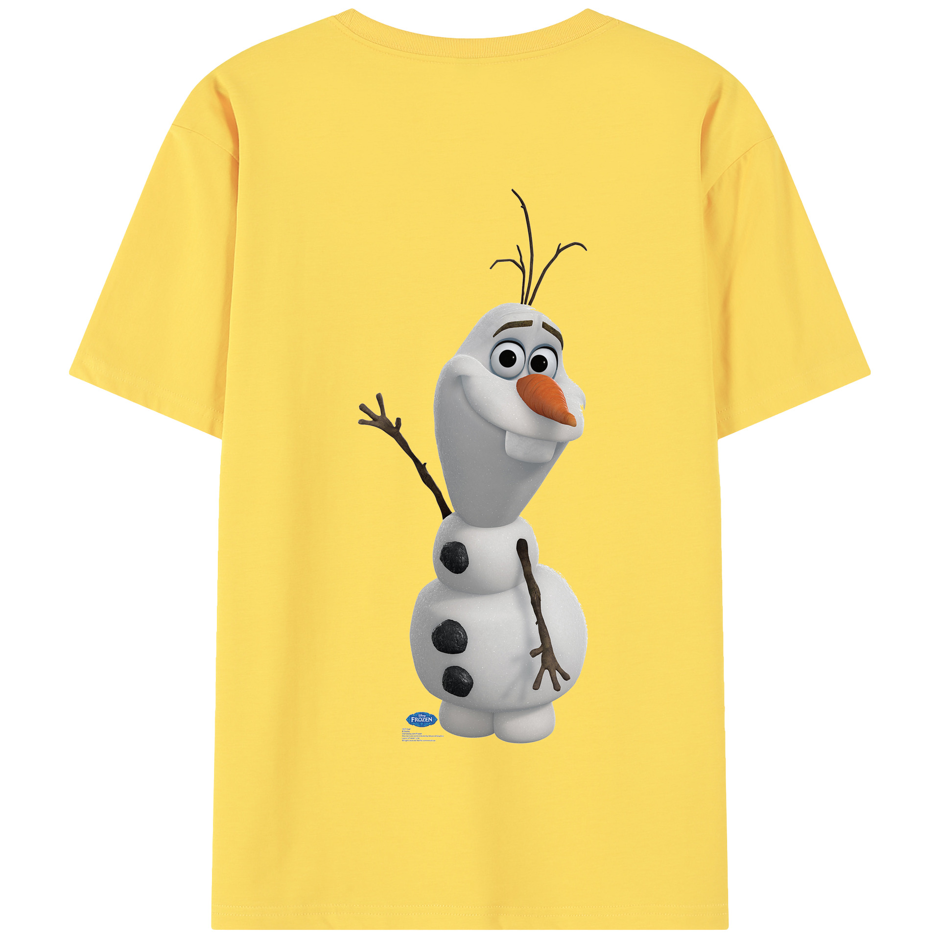 （画像用） アナと雪の女王 アンナ エルサ Frozen Anna Elsa 綿100％半袖Tシャツ（背面プリント）
