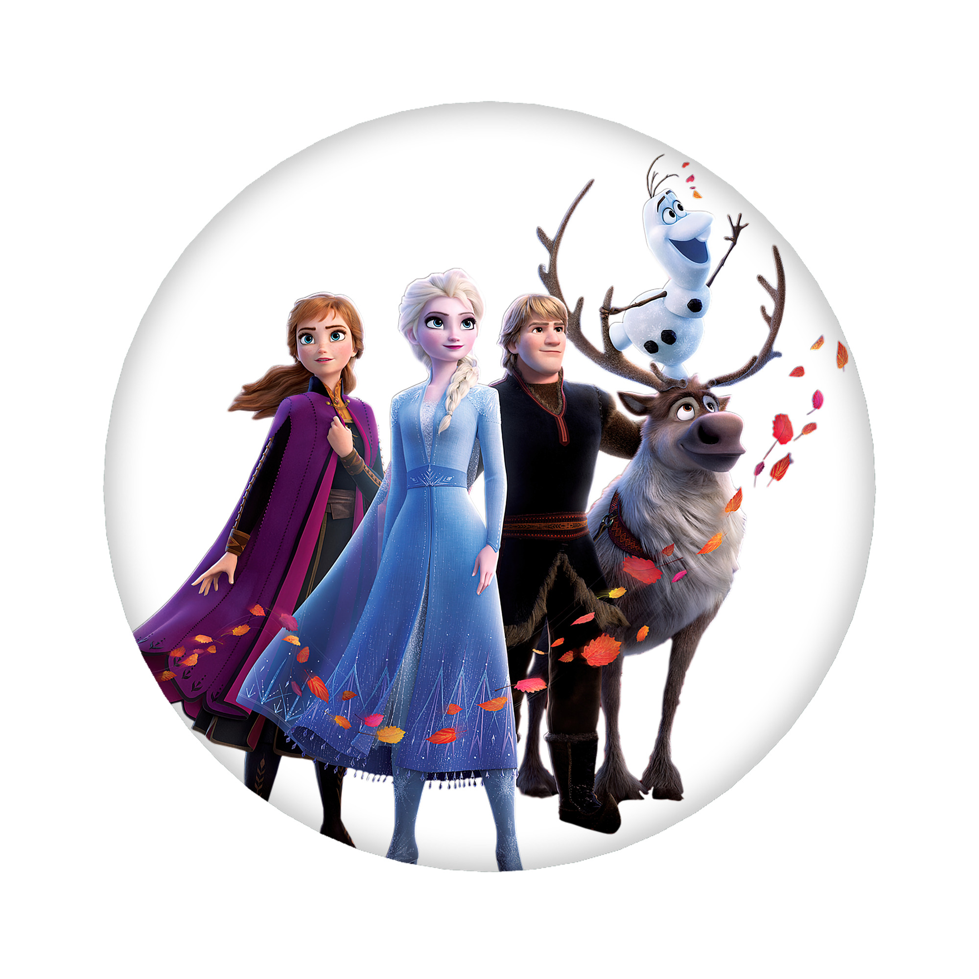 （画像用） アナと雪の女王 アンナ エルサ Frozen Anna Elsa 6cm 缶バッジ 複数セット