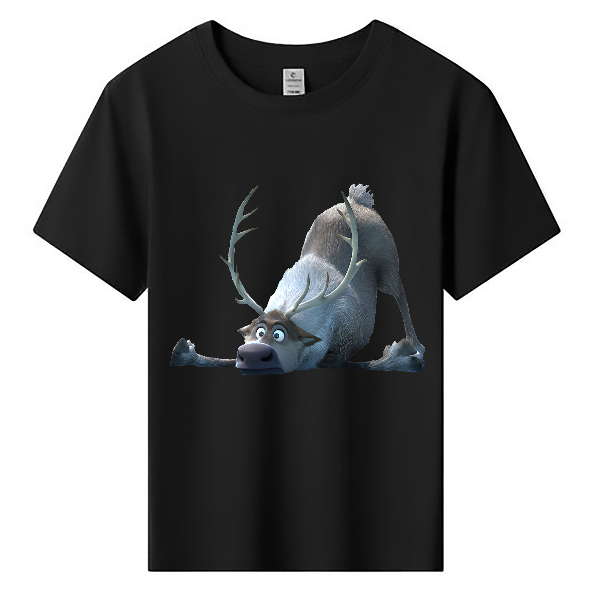 （画像用） アナと雪の女王 アンナ エルサ Frozen Anna Elsa 綿100％キッズTシャツ（フロントプリント）