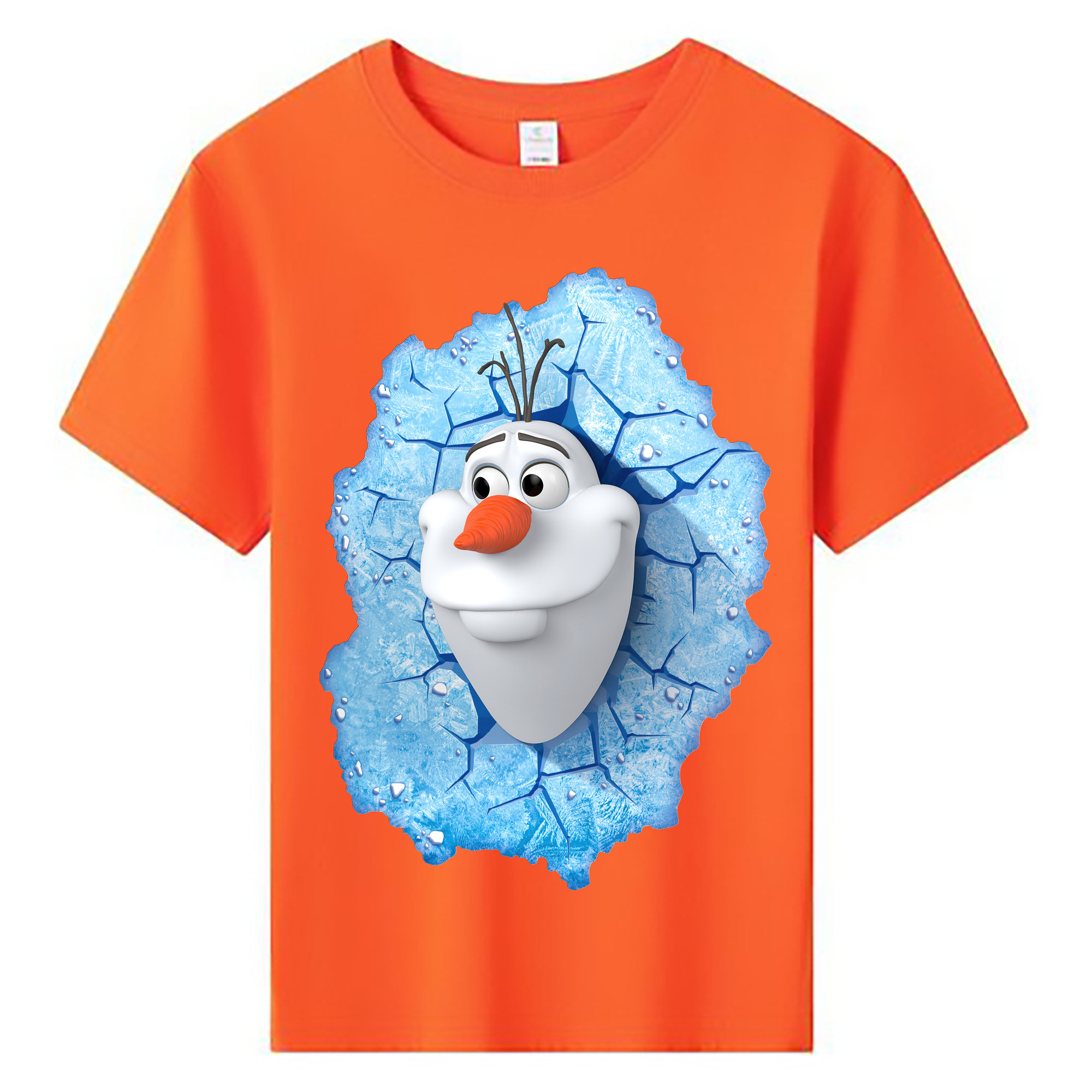 （画像用） アナと雪の女王 アンナ エルサ Frozen Anna Elsa 綿100％キッズTシャツ（フロントプリント）