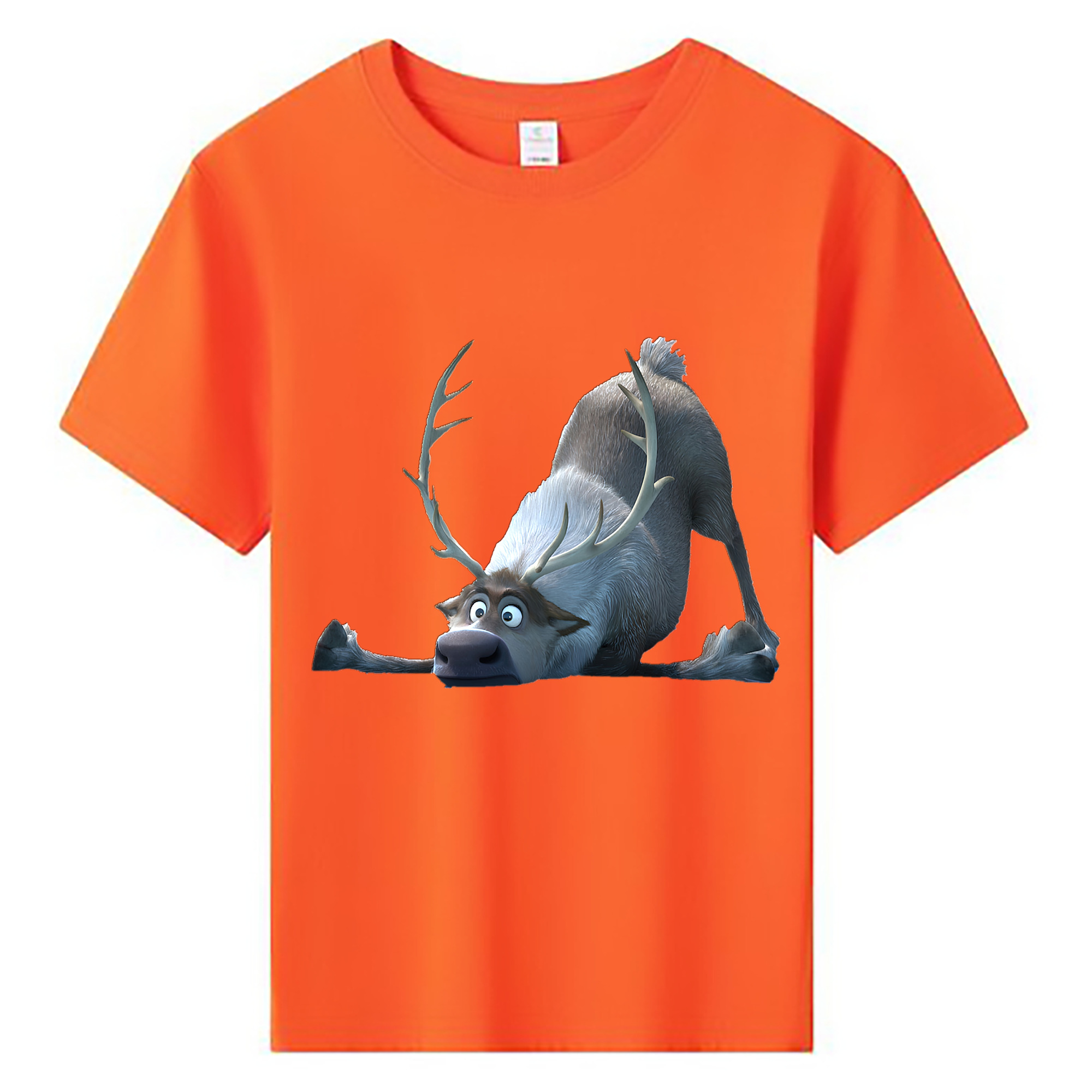 （画像用） アナと雪の女王 アンナ エルサ Frozen Anna Elsa 綿100％キッズTシャツ（フロントプリント）