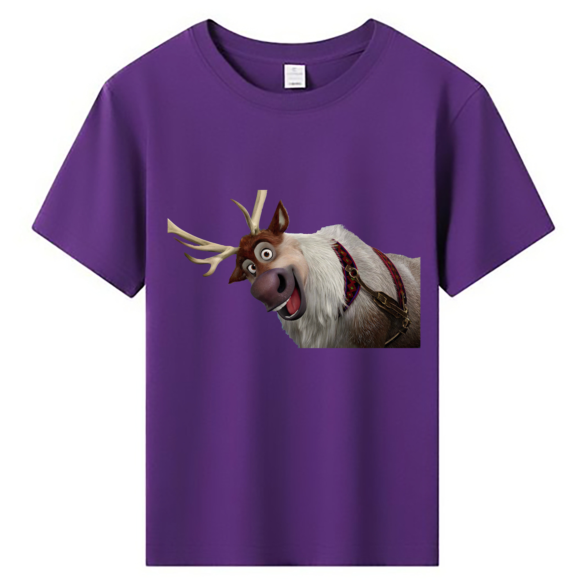 （画像用） アナと雪の女王 アンナ エルサ Frozen Anna Elsa 綿100％キッズTシャツ（フロントプリント）