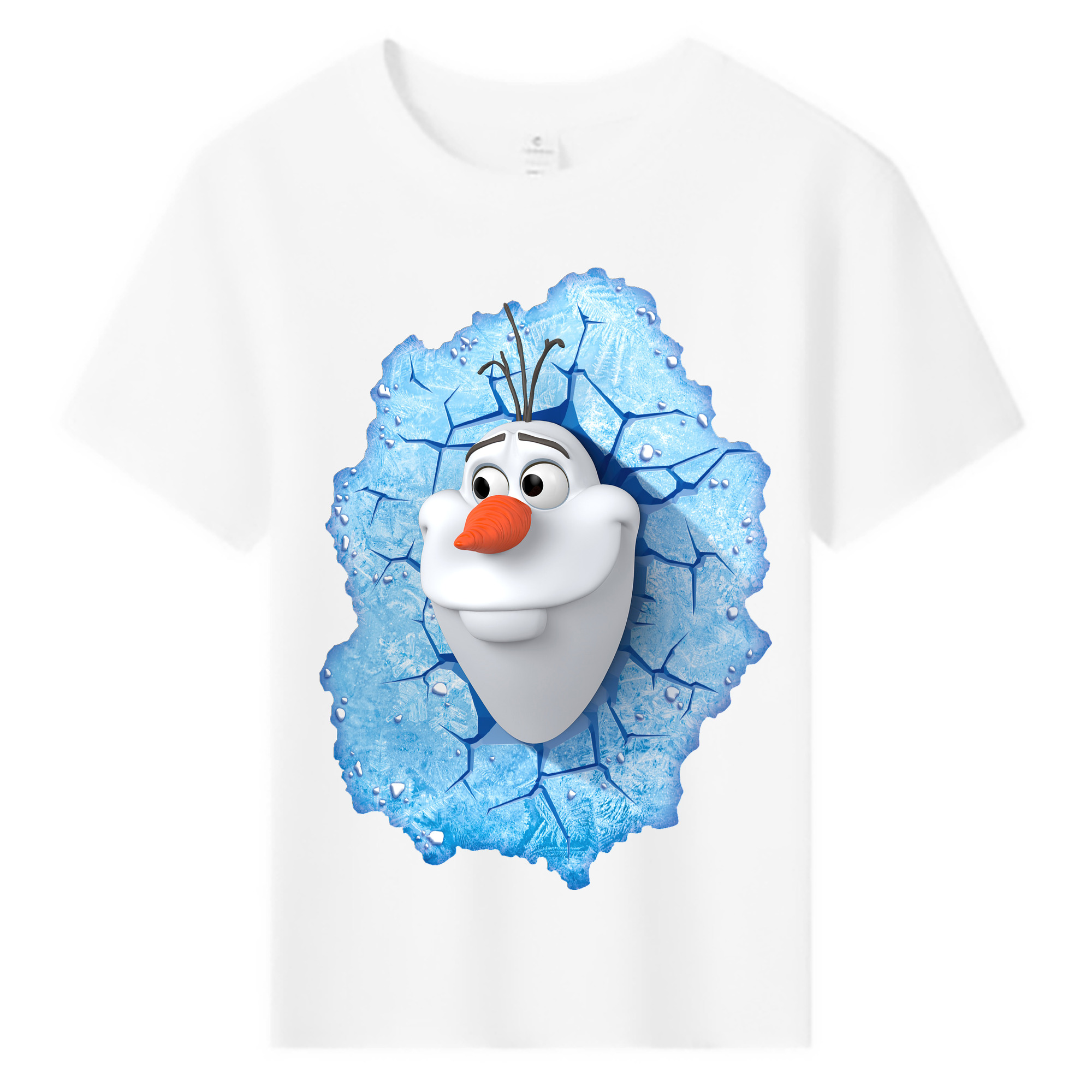 （画像用） アナと雪の女王 アンナ エルサ Frozen Anna Elsa 綿100％キッズTシャツ（フロントプリント）