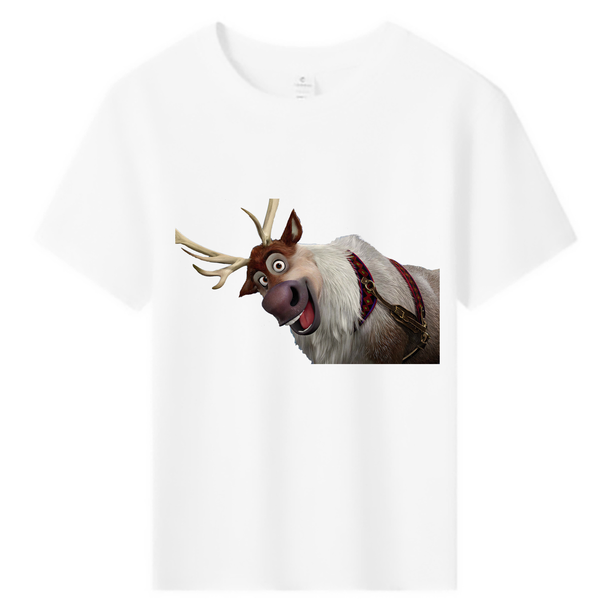 （画像用） アナと雪の女王 アンナ エルサ Frozen Anna Elsa 綿100％キッズTシャツ（フロントプリント）