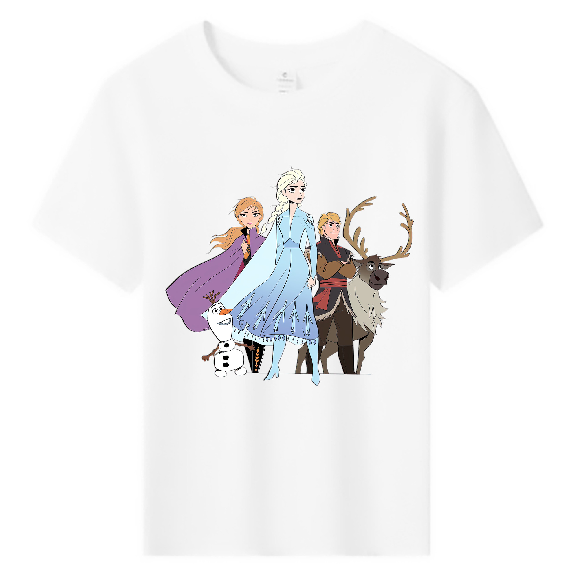 （画像用） アナと雪の女王 アンナ エルサ Frozen Anna Elsa 綿100％キッズTシャツ（フロントプリント）