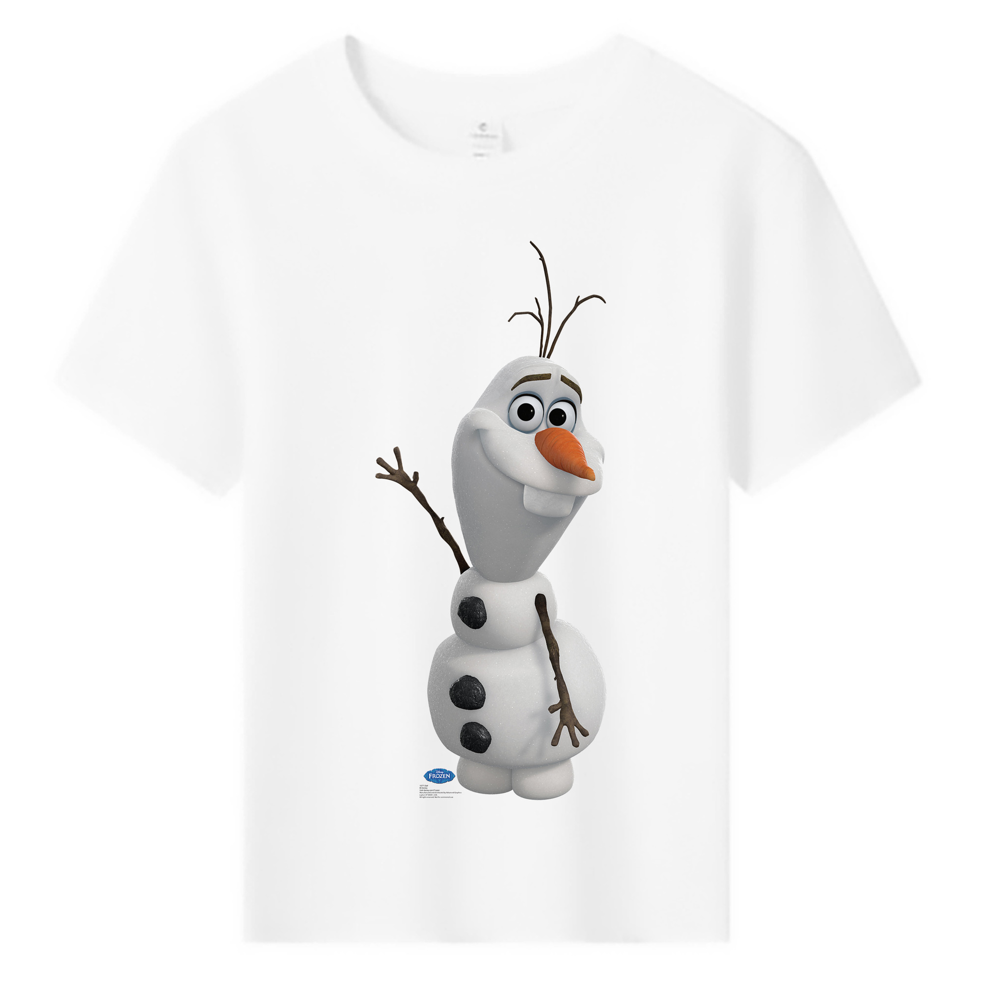 （画像用） アナと雪の女王 アンナ エルサ Frozen Anna Elsa 綿100％キッズTシャツ（フロントプリント）