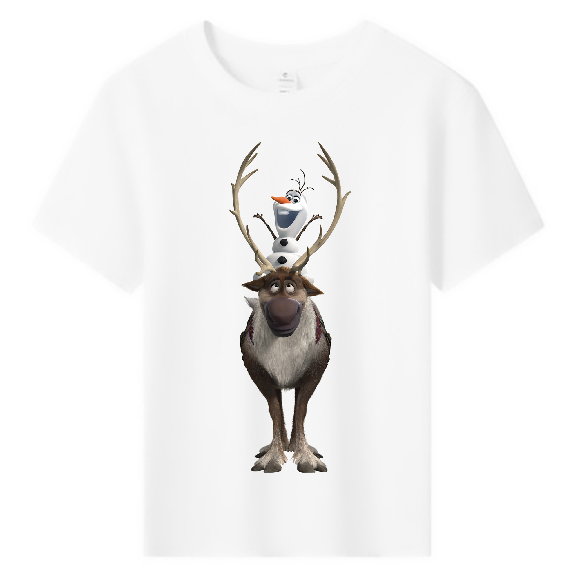 （画像用） アナと雪の女王 アンナ エルサ Frozen Anna Elsa 綿100％キッズTシャツ（フロントプリント）
